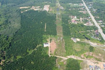 Mentakab Agricultural Land