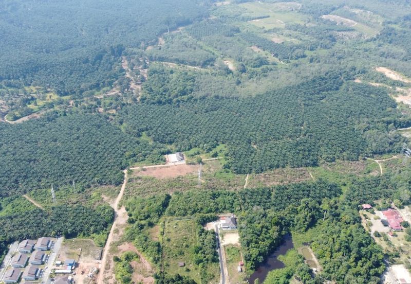 Mentakab Agricultural Land