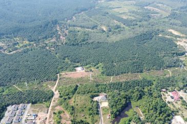 Mentakab Agricultural Land