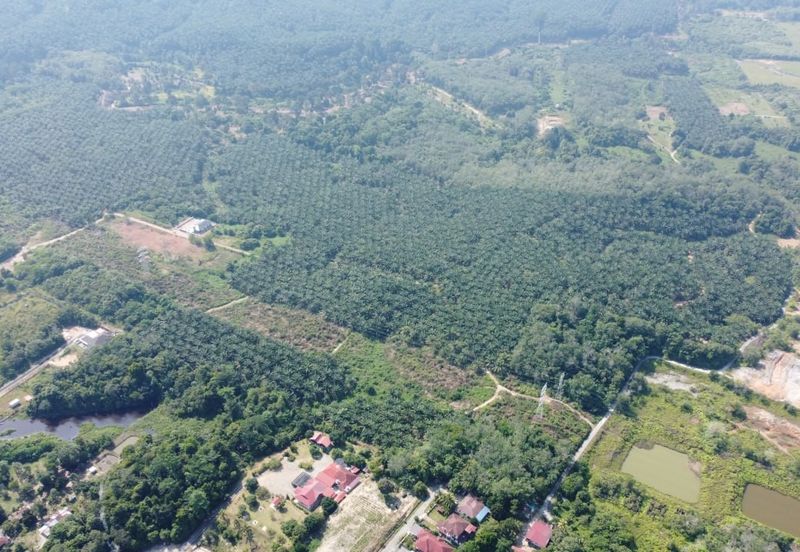 Mentakab Agricultural Land