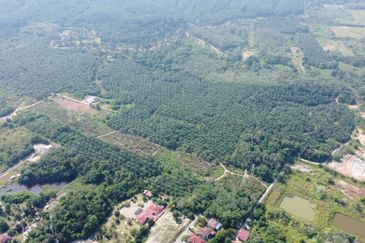 Mentakab Agricultural Land