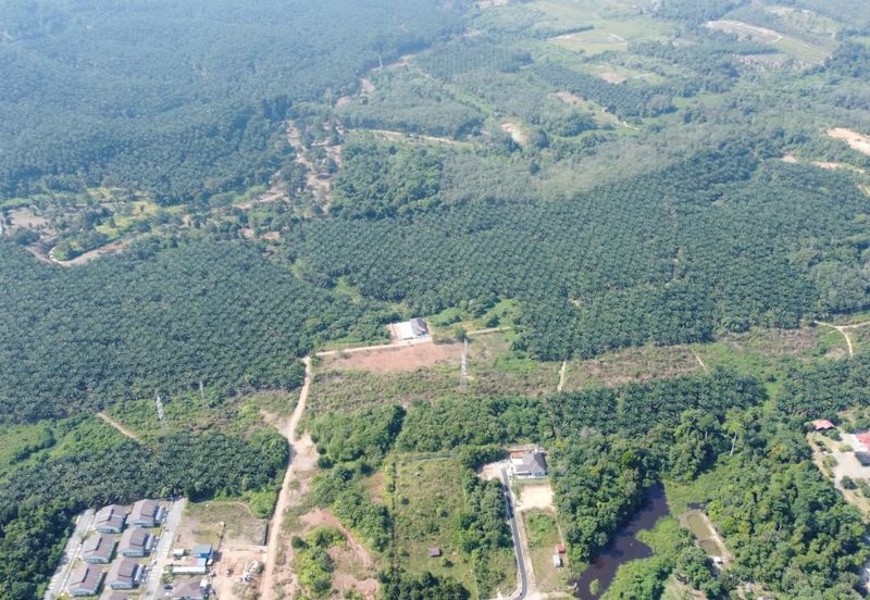 Mentakab Agricultural Land