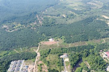 Mentakab Agricultural Land