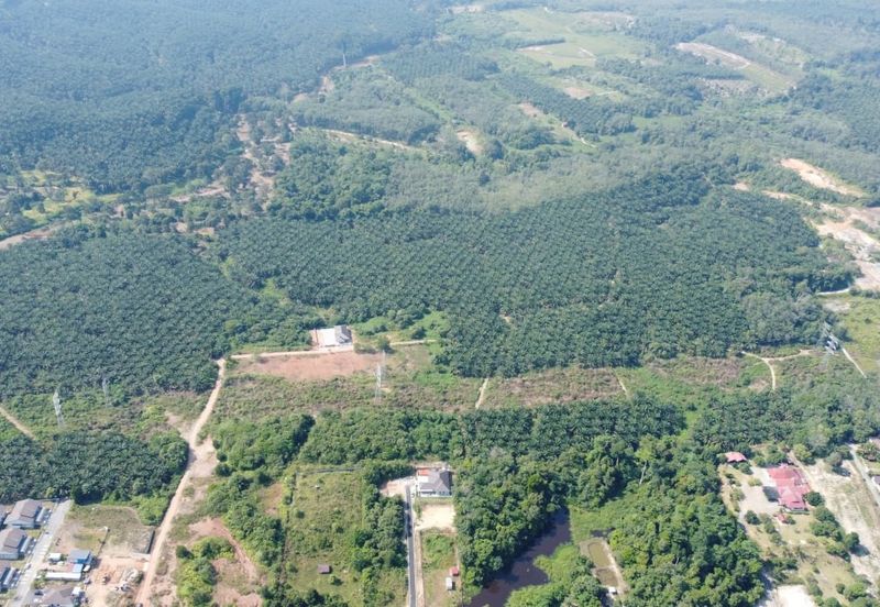 Mentakab Agricultural Land