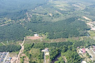 Mentakab Agricultural Land