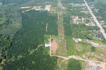 Mentakab Agricultural Land