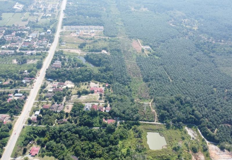 Mentakab Agricultural Land