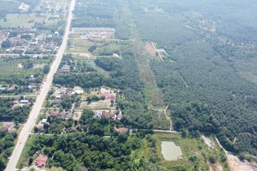 Mentakab Agricultural Land