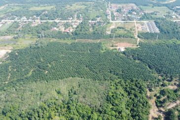 Mentakab Agricultural Land