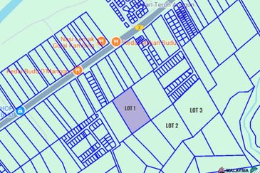 Mentakab Agricultural Land