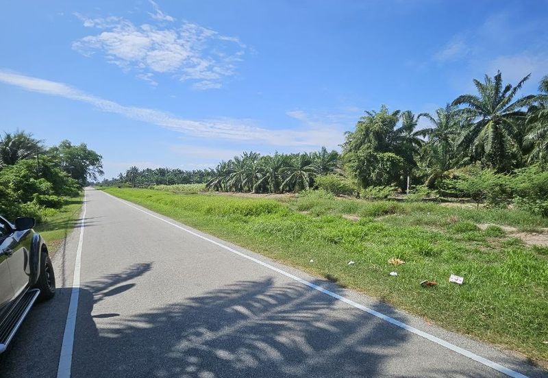 Pekan Muar