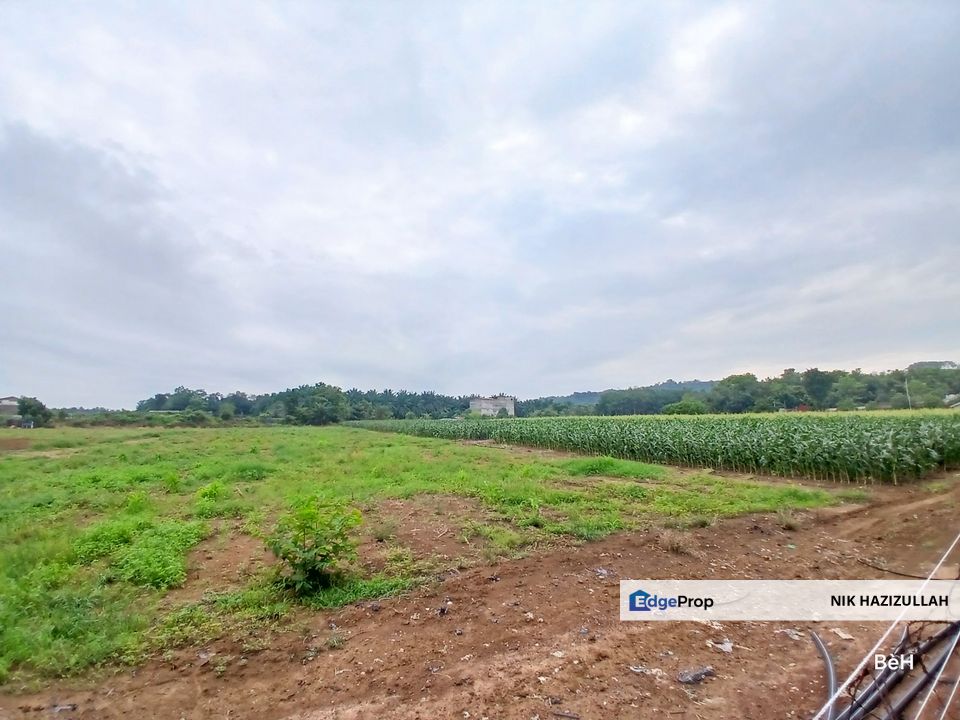 Tanah Rata Zoning Kediaman 500m Dari Jalan Utama, Kedah, Sungai Petani