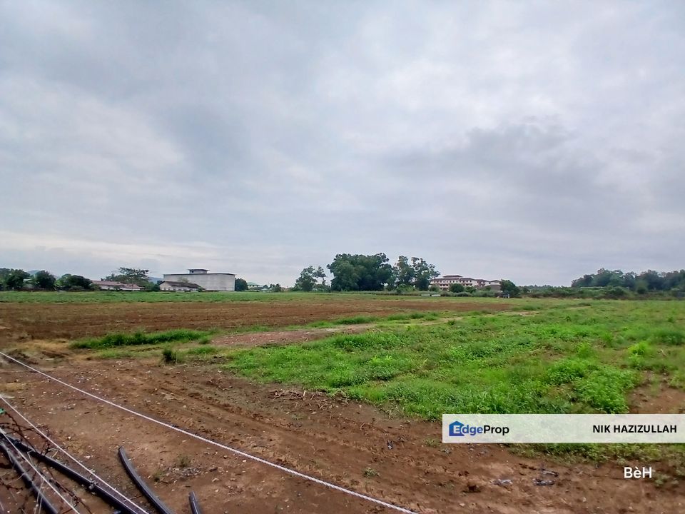 Tanah Rata Zoning Kediaman 500m Dari Jalan Utama, Kedah, Sungai Petani