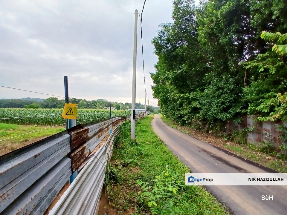 Tanah Rata Zoning Kediaman 500m Dari Jalan Utama, Kedah, Sungai Petani