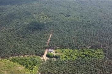 Tanah 125 Ekar Di Johor