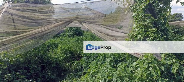 Taman Perling Agriculture Land For Sale , Johor, Johor Bahru