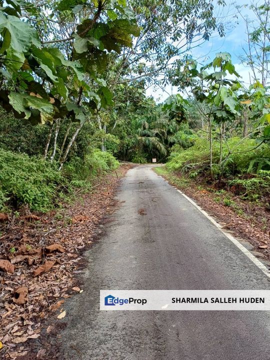 KEBUN SAWIT DI JALAN KOTA TINGGI UNTUK DIJUAL, Johor, Ulu Tiram