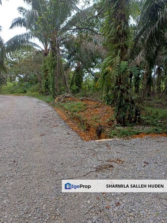Tanah Kebun Kelapa Sawit Batu 4 Kota Tinggi Untuk Dijual, Johor, Ulu Tiram