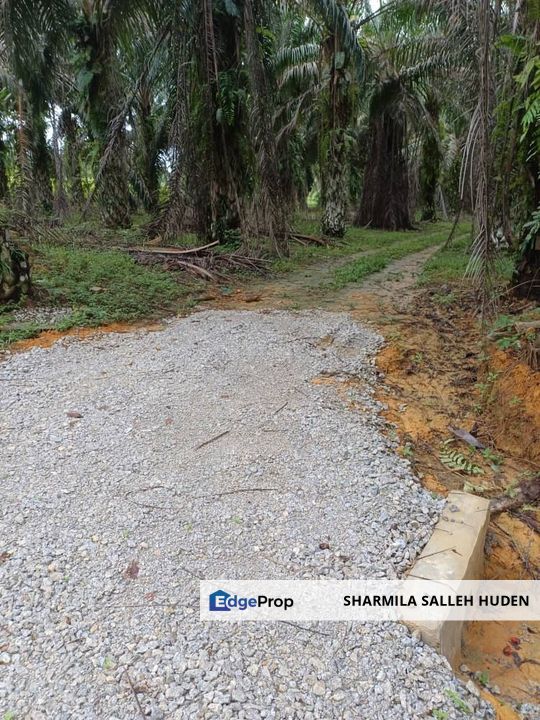 Tanah Kebun Kelapa Sawit Batu 4 Kota Tinggi Untuk Dijual, Johor, Ulu Tiram