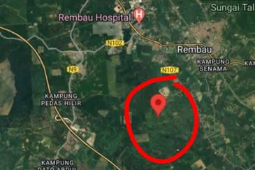 TANAH PERTANIAN UNTUK DIJUAL - 9 EKAR BATU HAMPAR, REMBAU