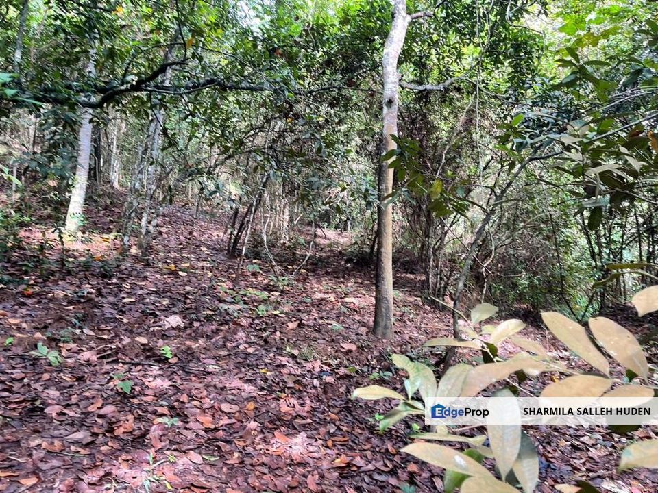 TANAH PERTANIAN UNTUK DIJUAL - 9 EKAR BATU HAMPAR, REMBAU, Negeri Sembilan, Rembau