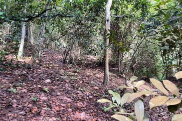 TANAH PERTANIAN UNTUK DIJUAL - 9 EKAR BATU HAMPAR, REMBAU