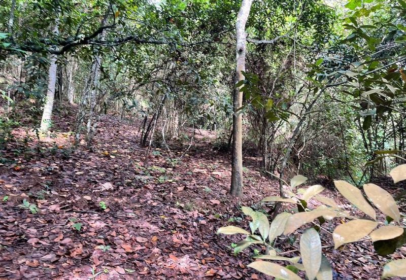 TANAH PERTANIAN UNTUK DIJUAL - 9 EKAR BATU HAMPAR, REMBAU