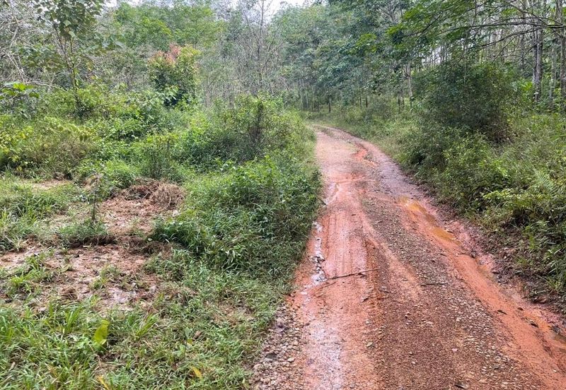 TANAH PERTANIAN UNTUK DIJUAL - 9 EKAR BATU HAMPAR, REMBAU