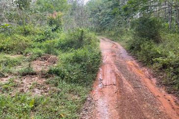 TANAH PERTANIAN UNTUK DIJUAL - 9 EKAR BATU HAMPAR, REMBAU