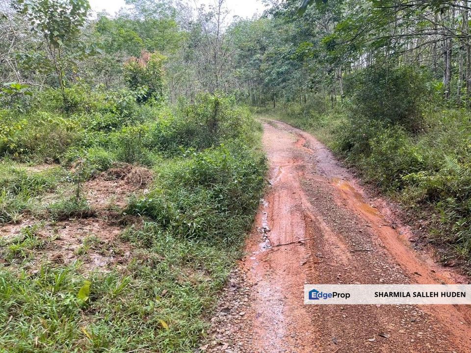 TANAH PERTANIAN UNTUK DIJUAL - 9 EKAR BATU HAMPAR, REMBAU, Negeri Sembilan, Rembau