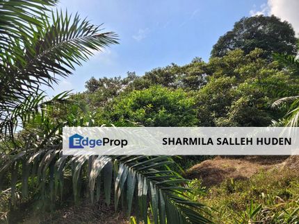 AGRICULTURAL LAND AT SEELONG, SENAI FOR SALE, Johor, Senai