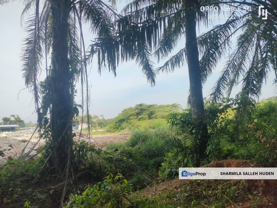 PAJAM-NILAI AGRICULTURE LAND FOR SALE, Negeri Sembilan, Nilai