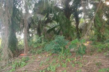 Jalan Besar, Nilai-Pajam