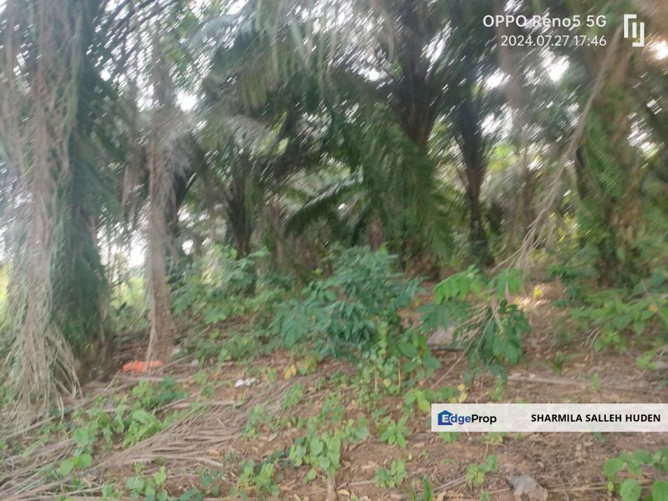 PAJAM-NILAI AGRICULTURE LAND FOR SALE, Negeri Sembilan, Nilai