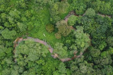 Tanah 5 ekar Berstatus Bangunan, Kampung Jenderam Hulu, Dengkil, Sepang, Selangor Untuk diJual.