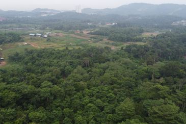 Tanah 5 ekar Berstatus Bangunan, Kampung Jenderam Hulu, Dengkil, Sepang, Selangor Untuk diJual.