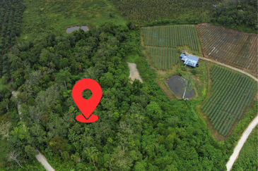 Owner Turun Harga, Tanah 6.7 ekar, Kampung Sempalit, Raub, Pahang Untuk di Jual