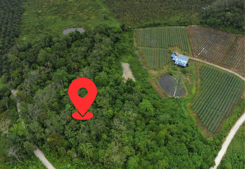 Owner Turun Harga, Tanah 6.7 ekar, Kampung Sempalit, Raub, Pahang Untuk di Jual