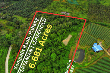 Owner Turun Harga, Tanah 6.7 ekar, Kampung Sempalit, Raub, Pahang Untuk di Jual