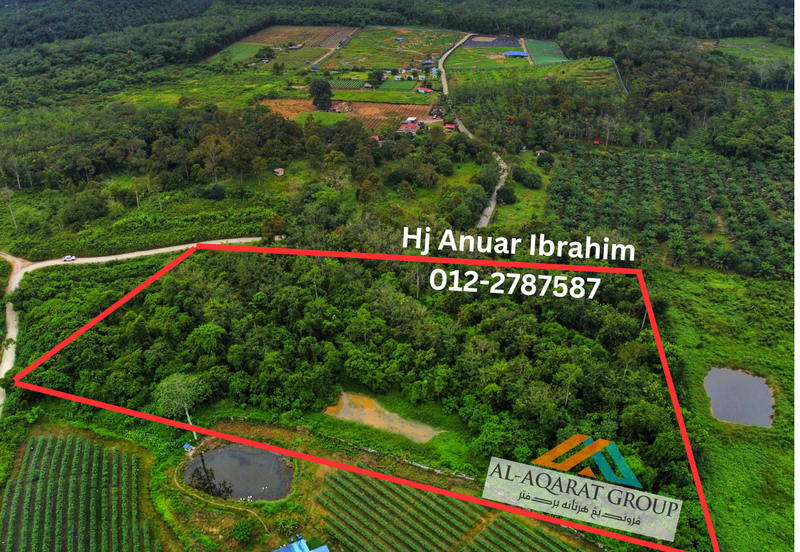 Owner Turun Harga, Tanah 6.7 ekar, Kampung Sempalit, Raub, Pahang Untuk di Jual