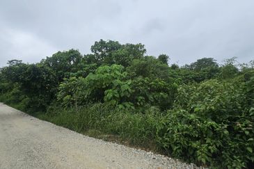 Owner Turun Harga, Tanah 6.7 ekar, Kampung Sempalit, Raub, Pahang Untuk di Jual