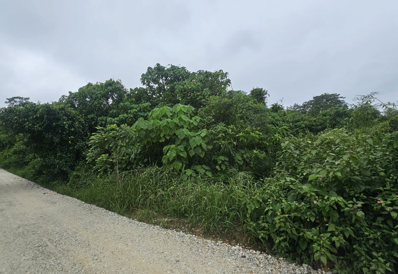 Owner Turun Harga, Tanah 6.7 ekar, Kampung Sempalit, Raub, Pahang Untuk di Jual