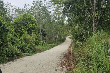 Owner Turun Harga, Tanah 6.7 ekar, Kampung Sempalit, Raub, Pahang Untuk di Jual