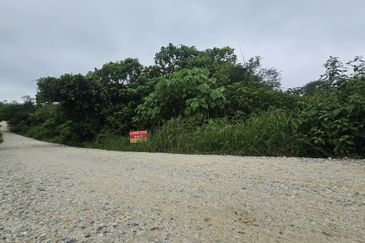 Owner Turun Harga, Tanah 6.7 ekar, Kampung Sempalit, Raub, Pahang Untuk di Jual