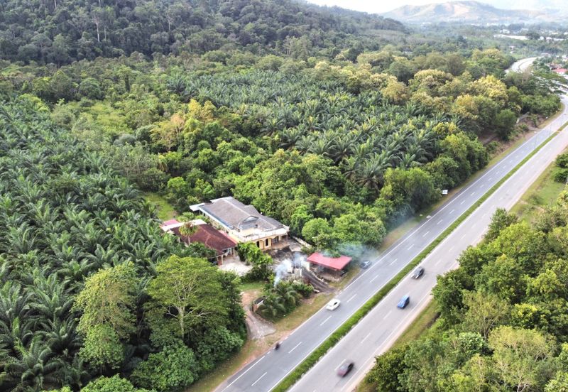 Batu 10 Jeniang, Tanah Dusun, Sebelah Main Road For Sale