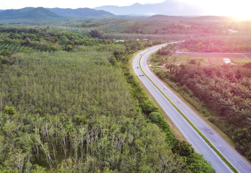 Batu 10 Jeniang, Tanah Dusun, Sebelah Main Road For Sale