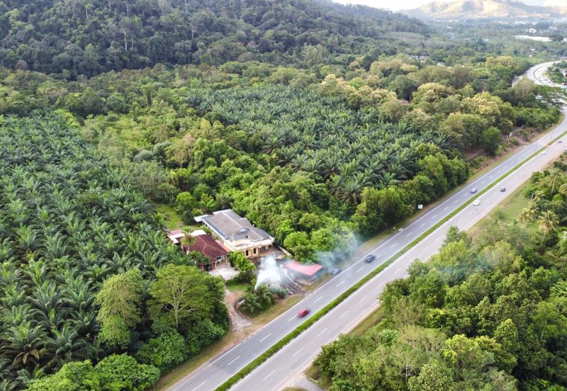 Batu 10 Jeniang, Tanah Dusun, Sebelah Main Road For Sale