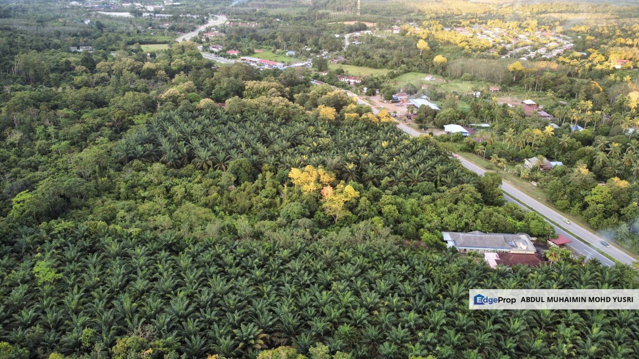 Batu 10 Jeniang, Tanah Dusun, Sebelah Main Road For Sale, Kedah, Gurun