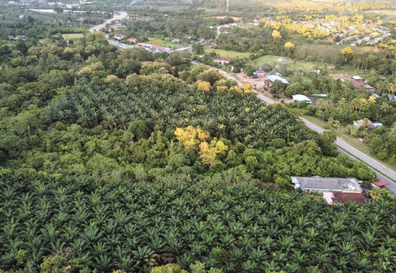 Batu 10 Jeniang, Tanah Dusun, Sebelah Main Road For Sale