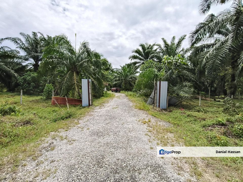 4.56 Acre Agricultural Land Tanah Pertanian Jenjarom Kuala Langat Banting, Selangor, Jenjarom